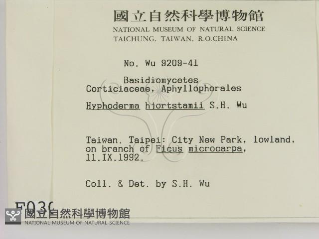 登錄號:F0000307藏品圖，第2張