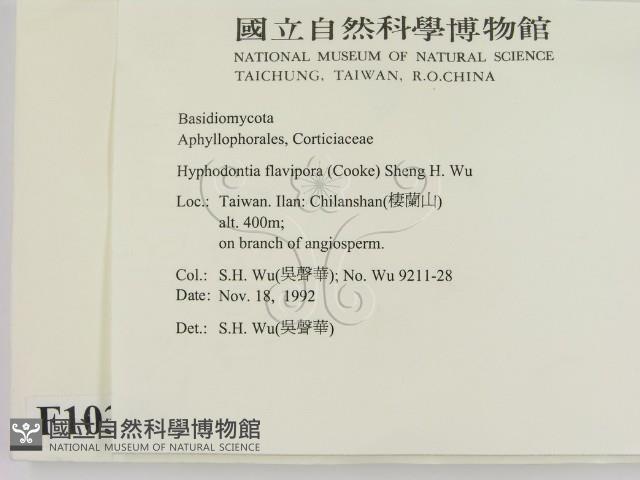 登錄號:F0010307藏品圖，第2張