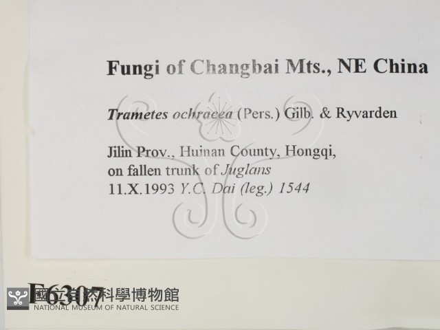 登錄號:F0006307藏品圖，第2張