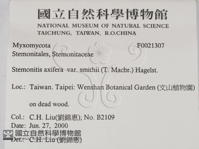 登錄號:F0021307藏品圖，第2張