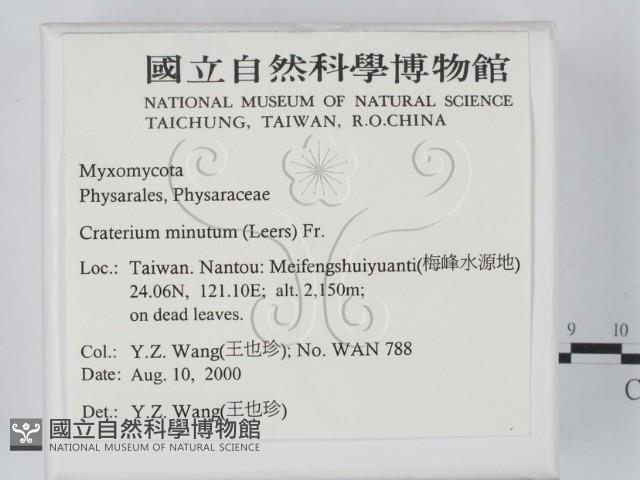 登錄號:F0011307藏品圖，第2張