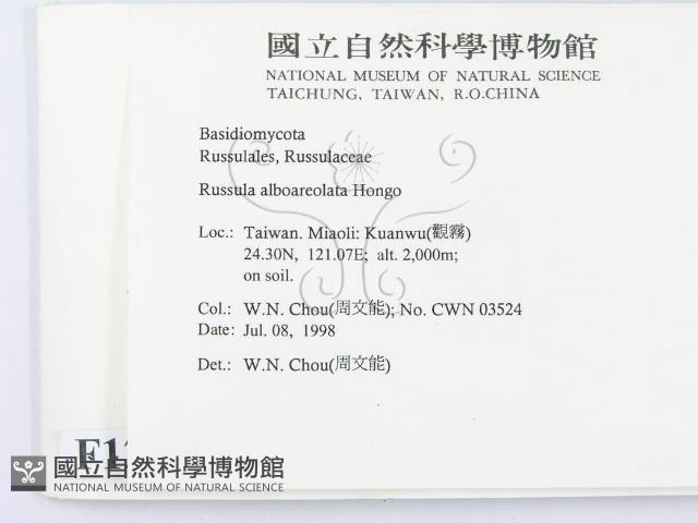 登錄號:F0012307藏品圖，第2張