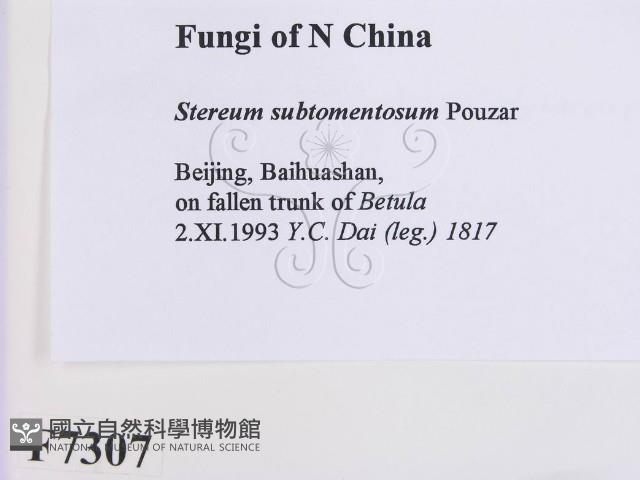 登錄號:F0007307藏品圖，第2張