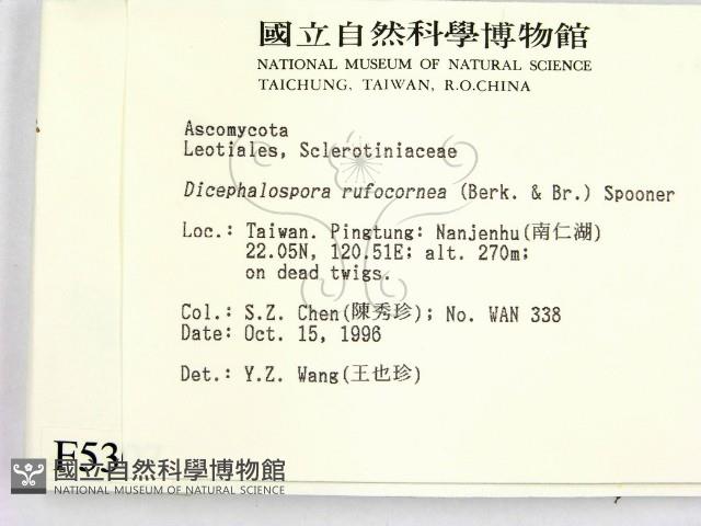 登錄號:F0005307藏品圖，第2張