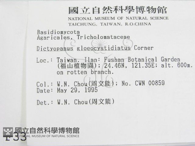 登錄號:F0003307藏品圖，第2張