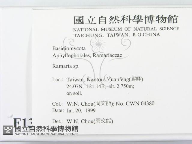 登錄號:F0013307藏品圖，第2張