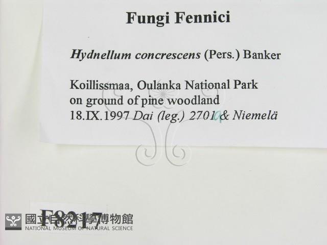 登錄號:F0008217藏品圖，第2張