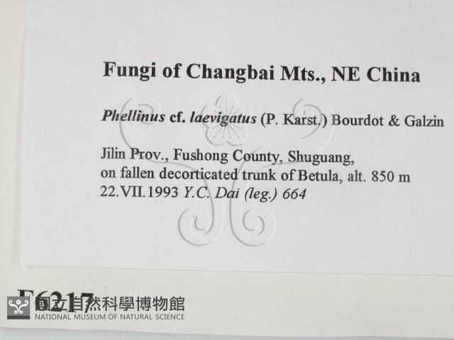 登錄號:F0006217藏品圖，第2張