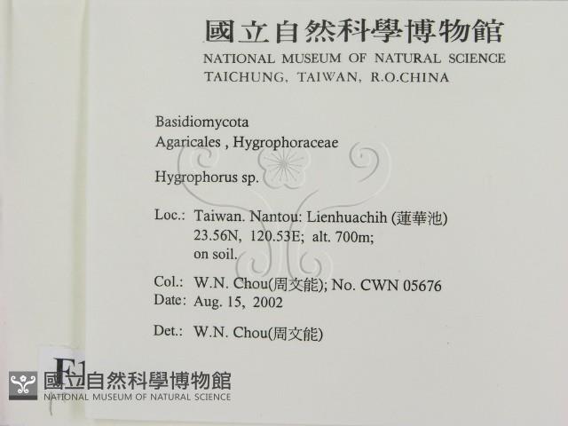 登錄號:F0016217藏品圖，第2張