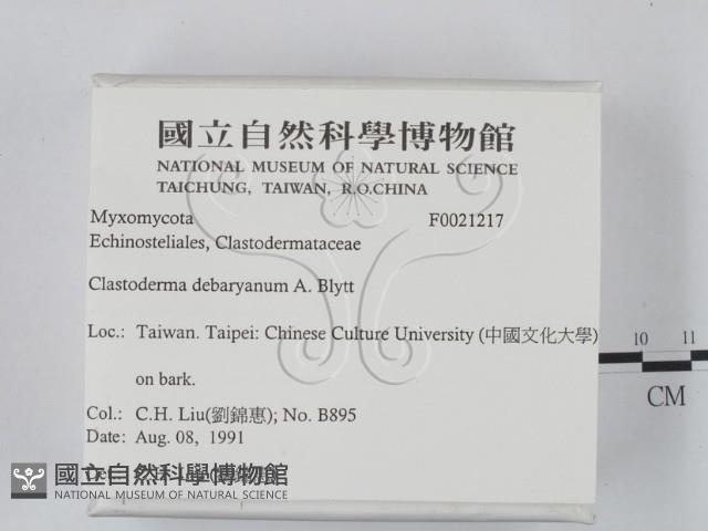 登錄號:F0021217藏品圖，第2張