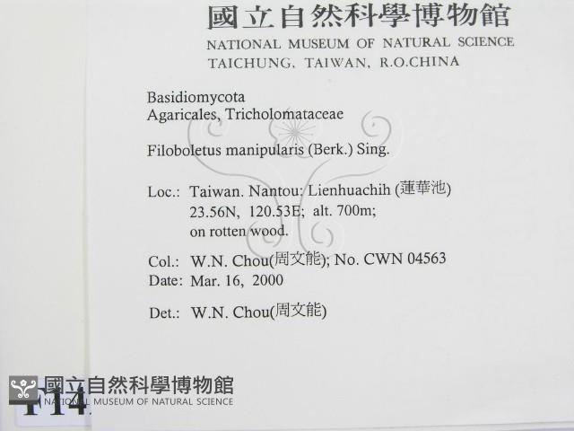 登錄號:F0014217藏品圖，第2張