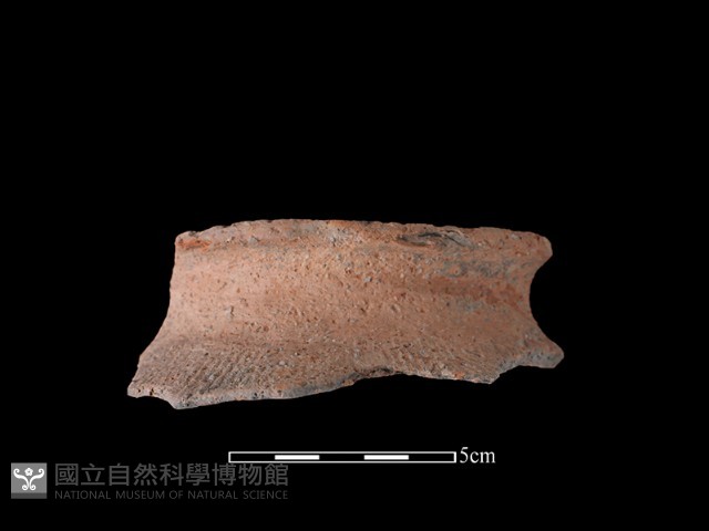 陶罐藏品圖，第2張