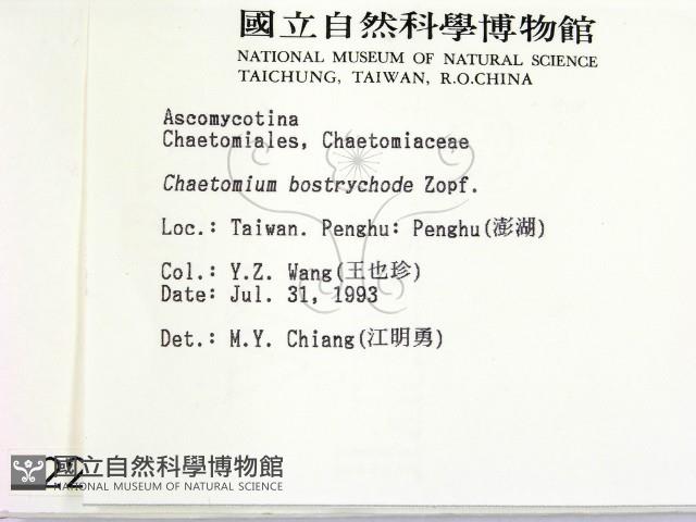 登錄號:F0002217藏品圖，第2張