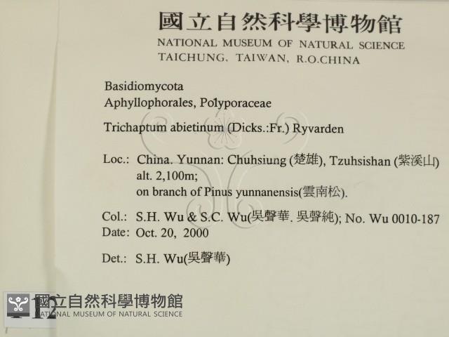 登錄號:F0012217藏品圖，第2張