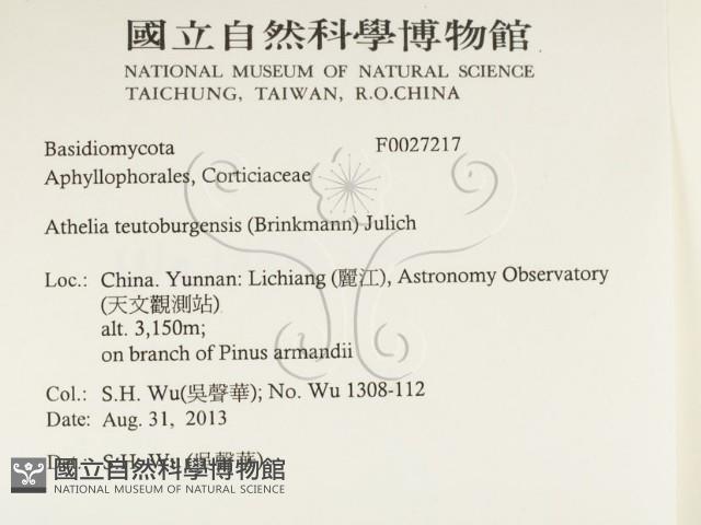 登錄號:F0027217藏品圖，第2張