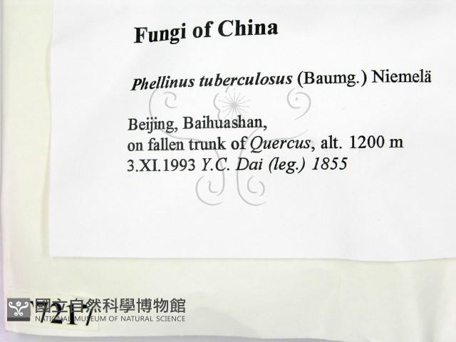 登錄號:F0007217藏品圖，第2張