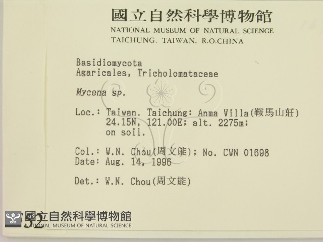 小菇屬藏品圖，第2張
