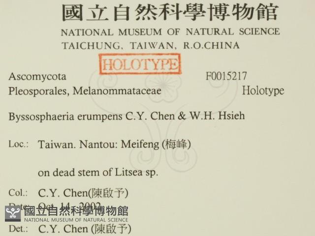 登錄號:F0015217藏品圖，第2張
