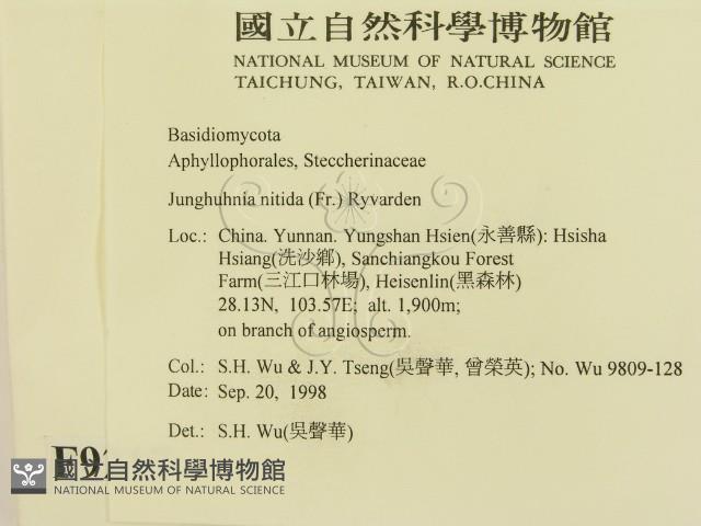 登錄號:F0009217藏品圖，第2張