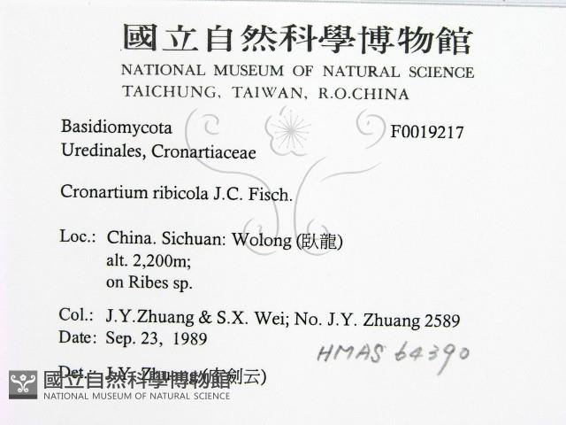登錄號:F0019217藏品圖，第2張