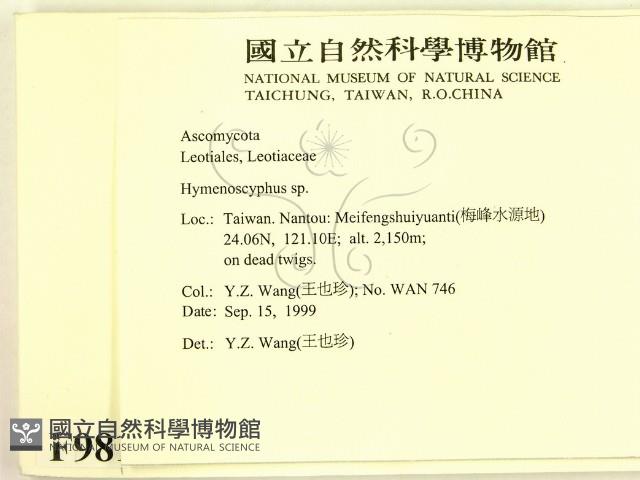 登錄號:F0009817藏品圖，第2張