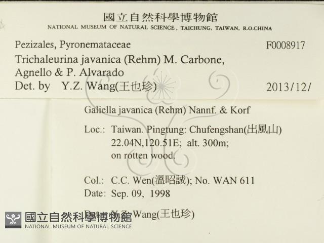 登錄號:F0008917藏品圖，第2張