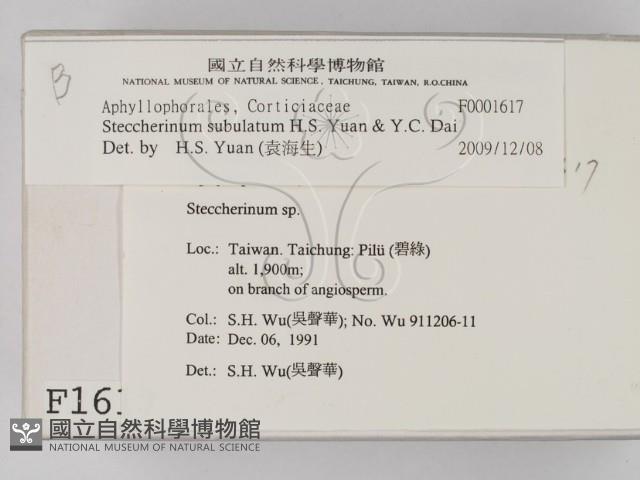 登錄號:F0001617藏品圖，第2張