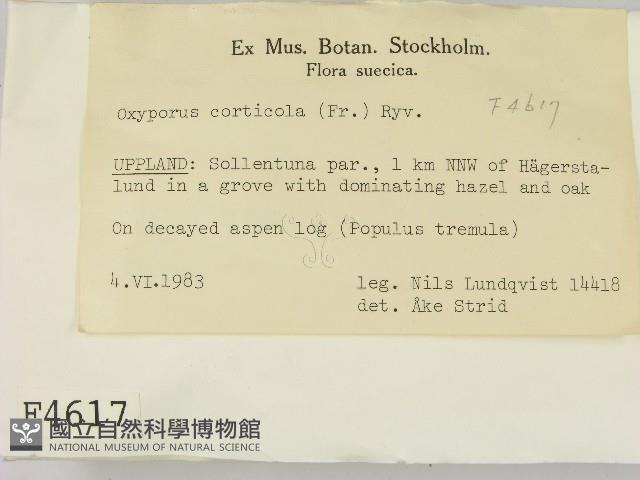 登錄號:F0004617藏品圖，第2張