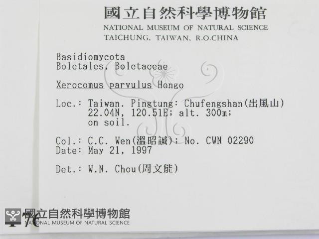 登錄號:F0007617藏品圖，第2張