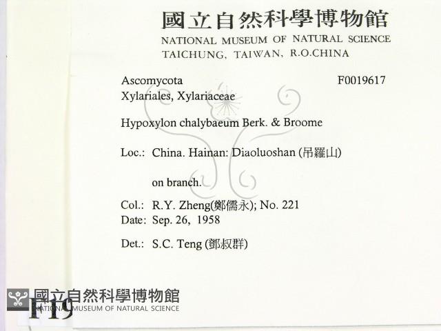 登錄號:F0019617藏品圖，第2張