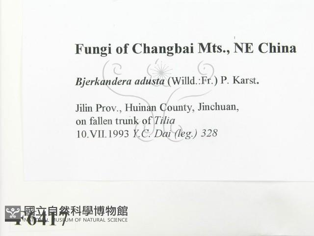 煙管菌藏品圖，第2張