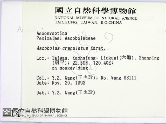 登錄號:F0001417藏品圖，第2張