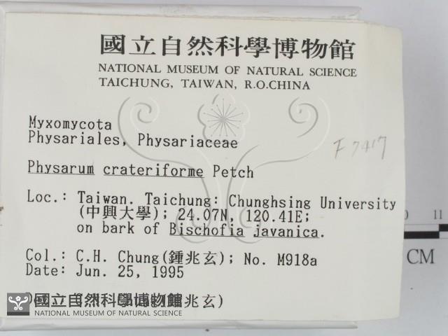 登錄號:F0007417藏品圖，第2張