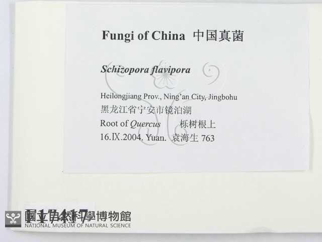 登錄號:F0017417藏品圖，第2張