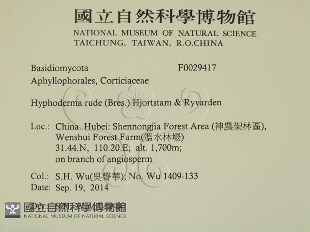 登錄號:F0029417藏品圖，第2張