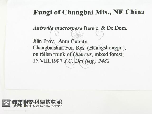 登錄號:F0009417藏品圖，第2張