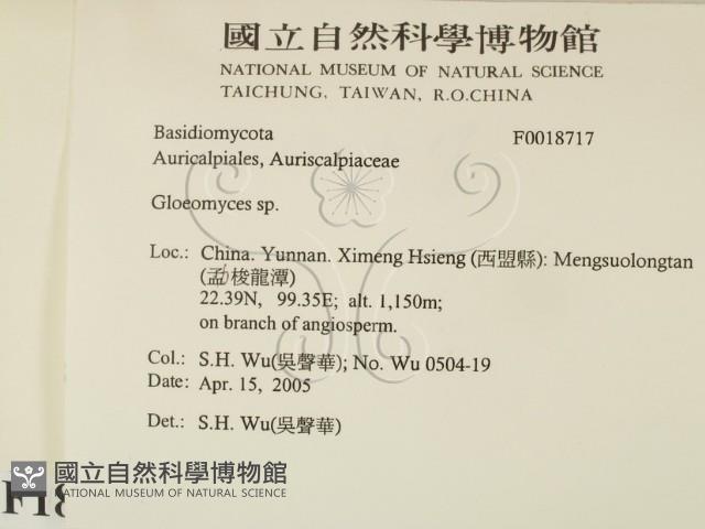 登錄號:F0018717藏品圖，第2張