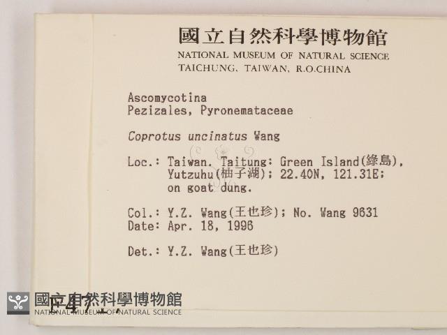 登錄號:F0004717藏品圖，第2張