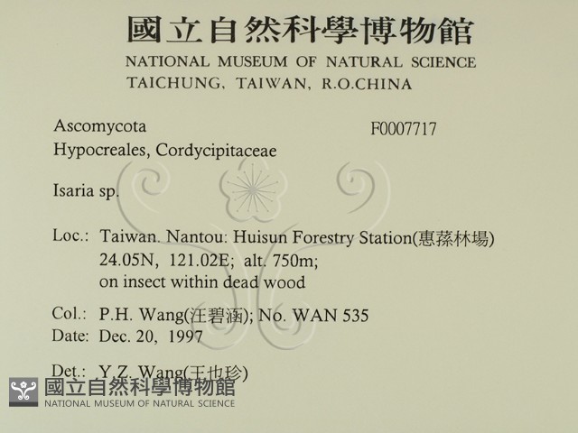 登錄號:F0007717藏品圖，第2張