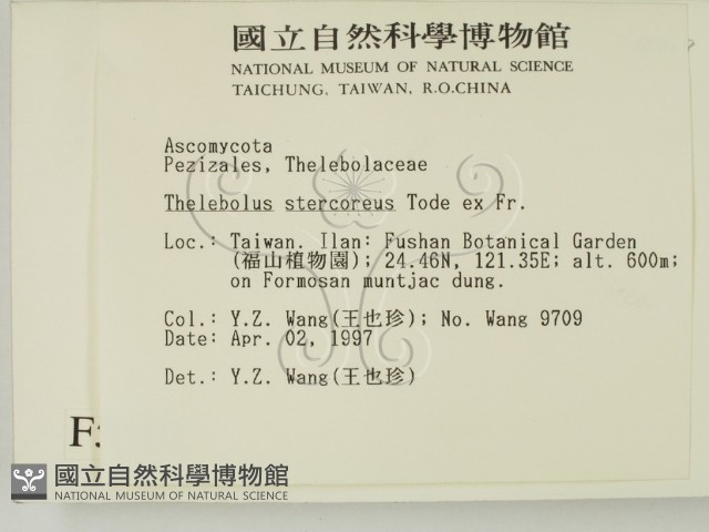 登錄號:F0005717藏品圖，第2張