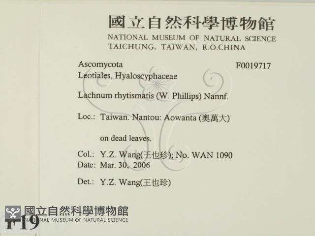 登錄號:F0019717藏品圖，第2張