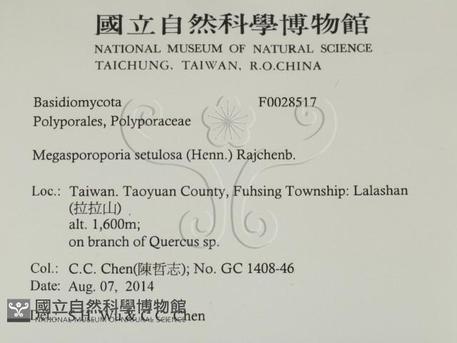 登錄號:F0028517藏品圖，第2張