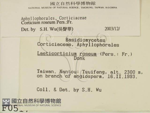 登錄號:F0000517藏品圖，第2張