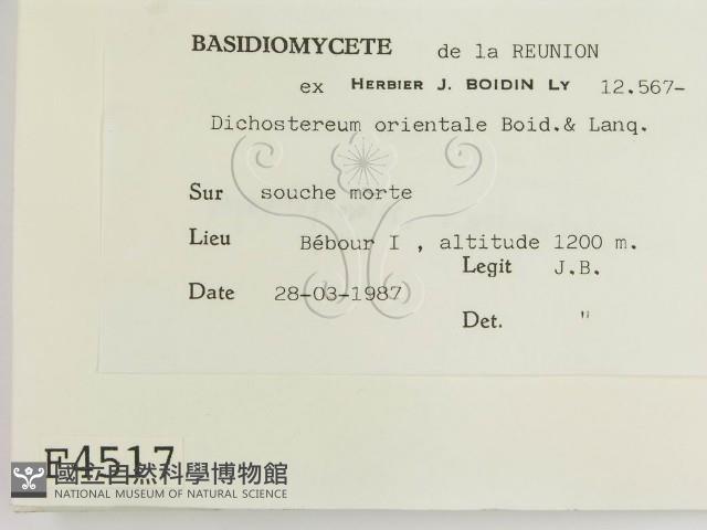 登錄號:F0004517藏品圖，第2張