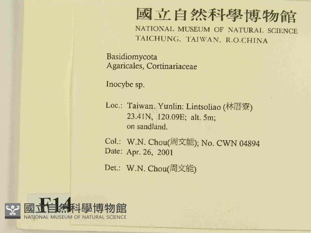 登錄號:F0014517藏品圖，第2張