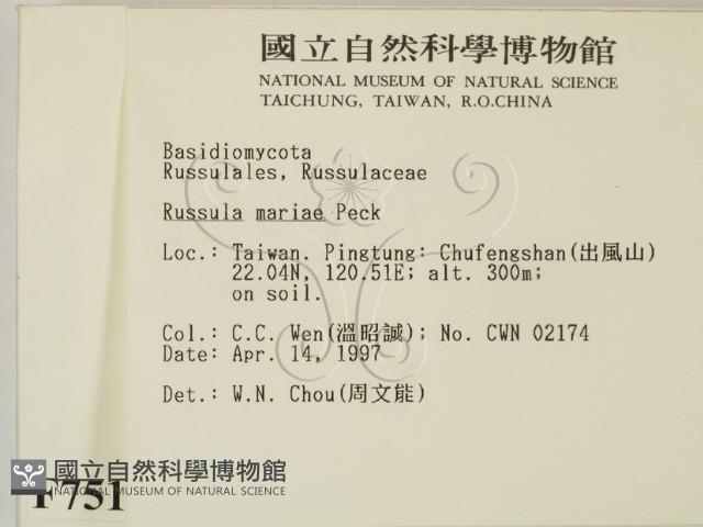 登錄號:F0007517藏品圖，第2張