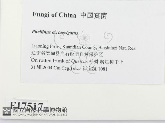 登錄號:F0017517藏品圖，第2張