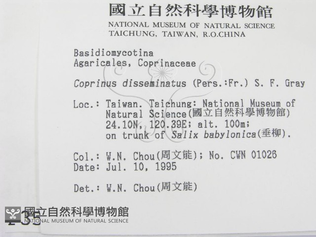 登錄號:F0003517藏品圖，第2張