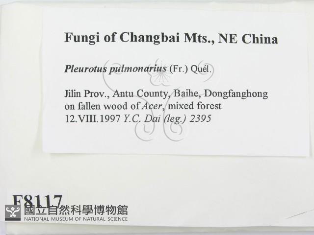 登錄號:F0008117藏品圖，第2張