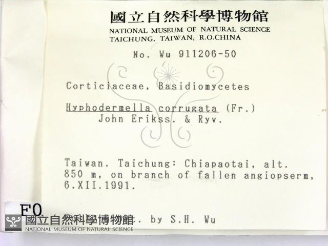 登錄號:F0000117藏品圖，第2張